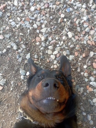 Boss en pleine détente